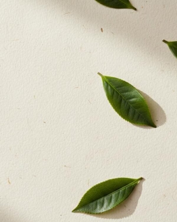 Spring Jade Green