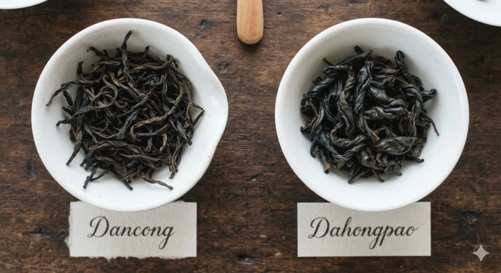 Dancong vs Dahongpao: Which Chinese Oolong Tea Should You Choose?