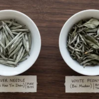 Silver Needle vs White Peony: Which Chinese White Tea Is Better?