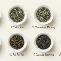Famous Chinese Teas: 8 Traditional Teas Every Tea Lover Should Know