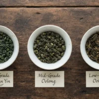 Oolong Tea Grades Explained: What Do the Grades Mean?