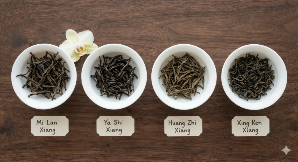 Phoenix Dancong varieties comparison Mi Lan Xiang Ya Shi Xiang Huang Zhi Xiang Xing Ren Xiang