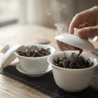 Smelling warmed Dancong and Da Hong Pao leaves side by side